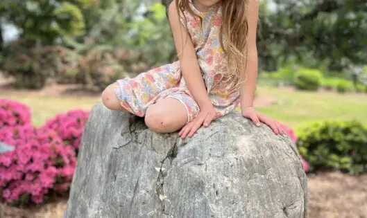 ROCKS: THE PERFECT GARDEN ACCESSORIES_featured_image