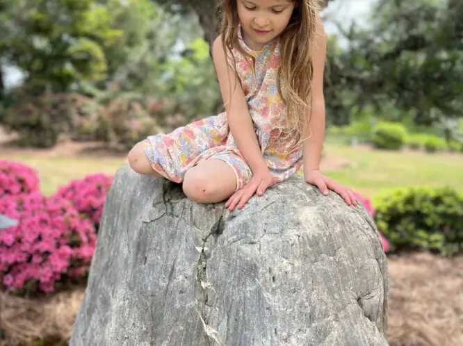 ROCKS: THE PERFECT GARDEN ACCESSORIES_featured_image