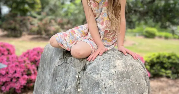 Rocks: The Perfect Garden Accessories 11 Rocks: The Perfect Garden Accessories 366967819 995570801398633 4799726835244037532 N