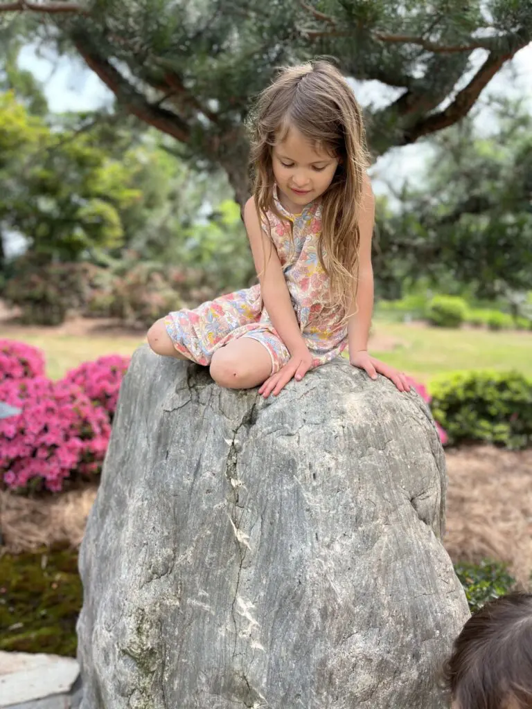 Rocks: The Perfect Garden Accessories 3 Rocks: The Perfect Garden Accessories 366967819 995570801398633 4799726835244037532 N