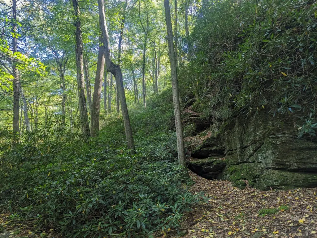 Finding Falling Water 1 Finding Falling Water 384774498 1026735994948780 3948836916101651892 N