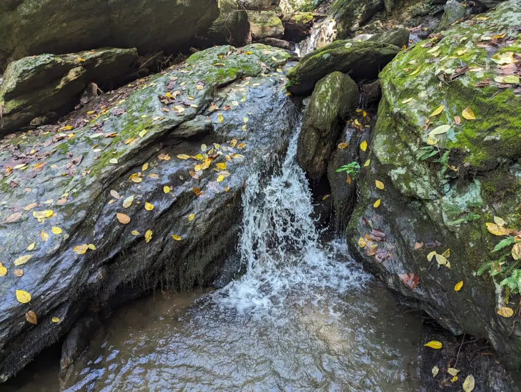 Finding Falling Water 3 Finding Falling Water 385022785 1026732354949144 6153725375237472003 N