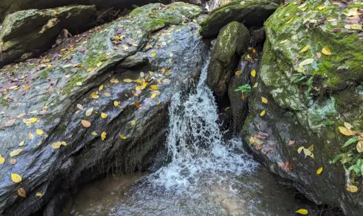 FINDING FALLING WATER_featured_image
