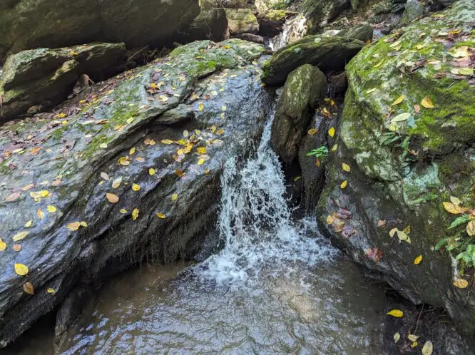 FINDING FALLING WATER_featured_image