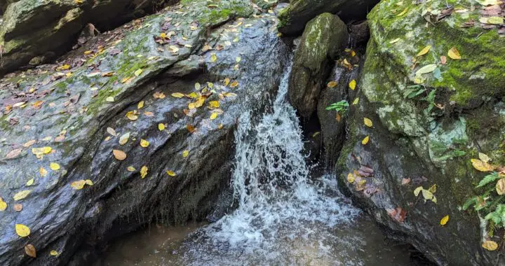 Finding Falling Water 16 Finding Falling Water 385022785 1026732354949144 6153725375237472003 N