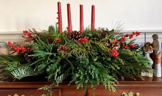BEAUTY FROM THE GARDEN, EVEN IN DECEMBER!_featured_image