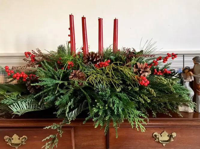 BEAUTY FROM THE GARDEN, EVEN IN DECEMBER!_featured_image