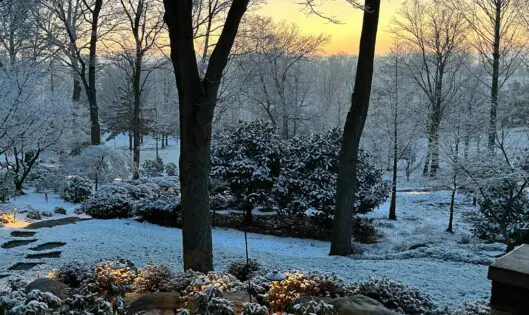 GARDENING IN JANUARY_featured_image