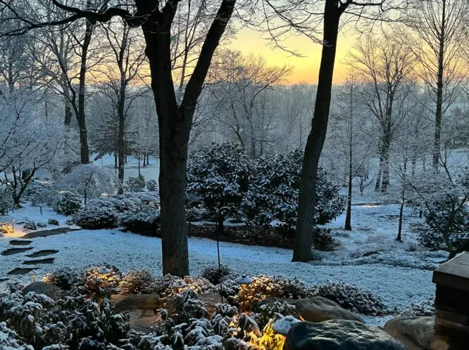 GARDENING IN JANUARY_featured_image