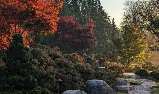 GARDEN ART_featured_image