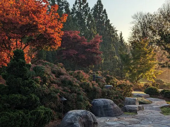 GARDEN ART_featured_image