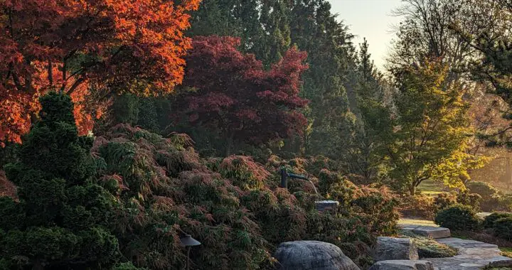 Garden Art 2 Garden Art 401852443 1055400998748946 4133088175190498918 N