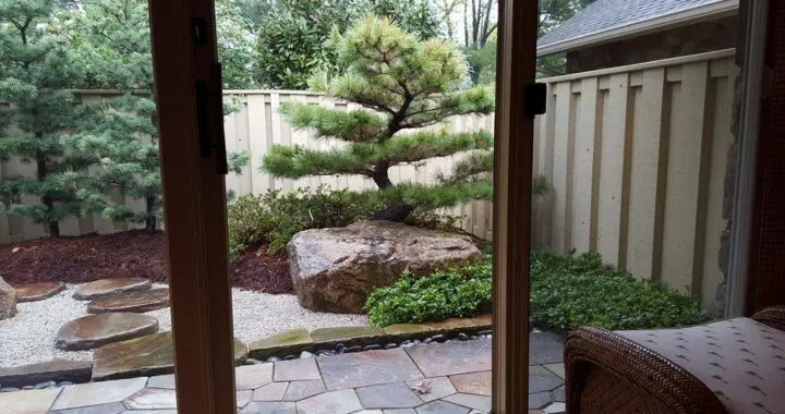 A Return To Paradise (Part 3) 9 A Return To Paradise (Part 3) 402928251 1055444788744567 1073892382327058280 N