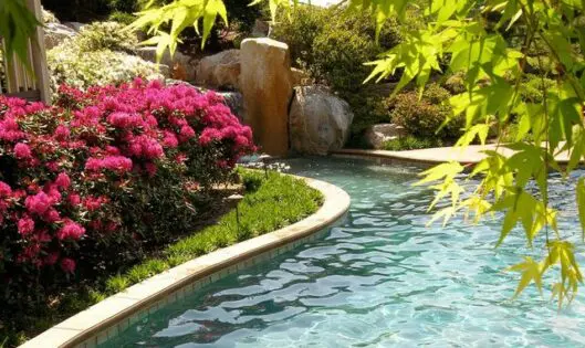 A RETURN TO PARADISE (Part 2)_featured_image