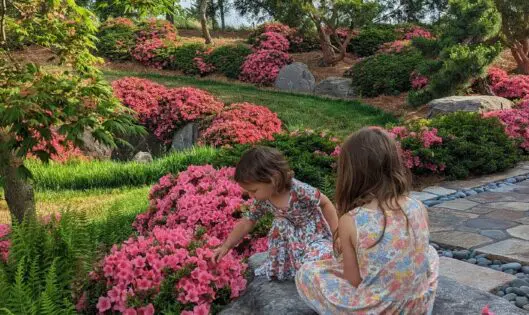 A GARDENER’S RAISON D’ETRE_featured_image