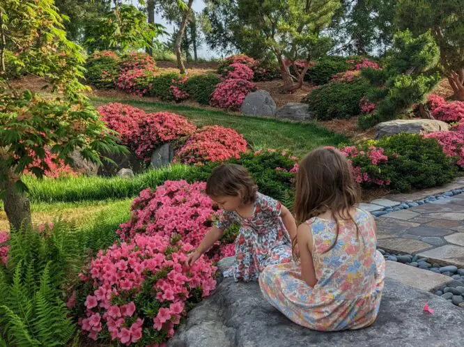 A GARDENER’S RAISON D’ETRE_featured_image