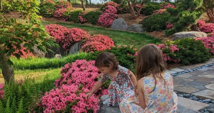 A Gardener'S Raison D'Etre 13 A Gardener'S Raison D'Etre 402998612 1055411178747928 7171302376808397541 N