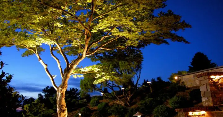 A Return To Paradise 3 A Return To Paradise 403072662 1055438462078533 5614865053354803859 N