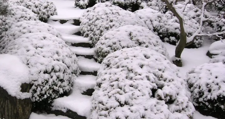 January Morn 403692689 1055419285413784 5305174718835186585 N