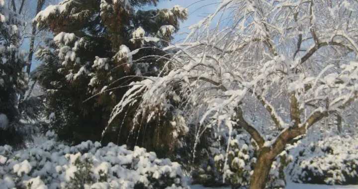 Winter Waiting . . . 6 Winter Waiting . . . 414889461 1081005946188451 5234418288604783862 N