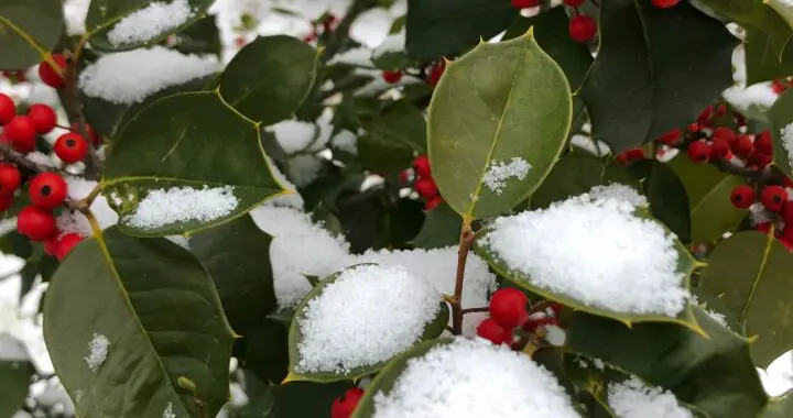 In February 414913123 1081077926181253 7075635882082194865 N