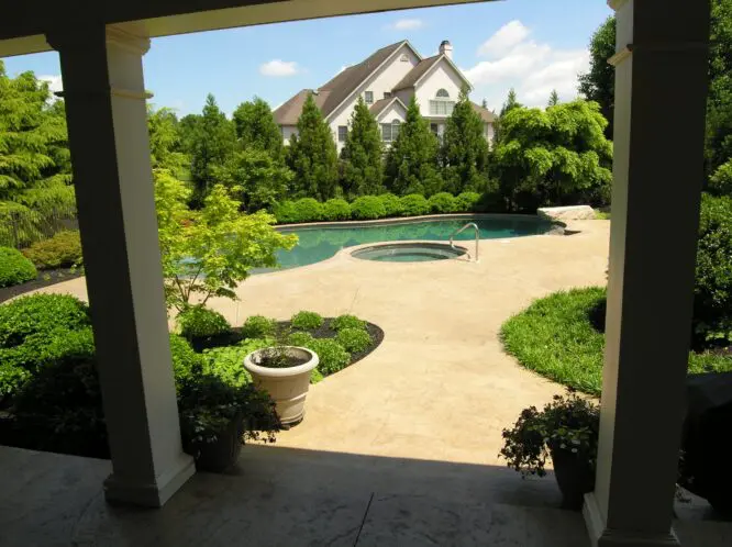 A RETURN TO PARADISE (Part 4)_featured_image