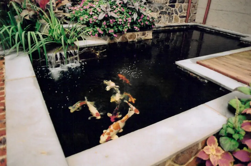 Garden Ponds, Streams, Waterfalls And Other Water Features 17 Custom Koi Pond, Elizabethtown, Pa