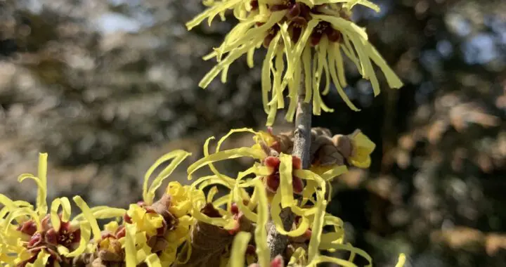 February Musings 414423273 1081069509515428 6382607150334383794 N