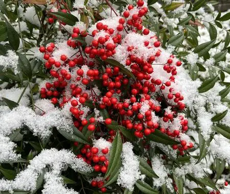 A Walk In The Wind 415259322 1081040776184968 3318572225316660799 N