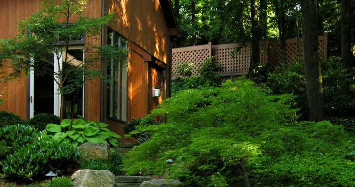 Privileged Space 425677356 1104273817194997 4273426853732773528 N