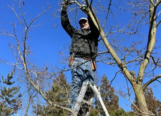 Getting Ready For The (Spring) Party! 8 Getting Ready For The (Spring) Party! 425913522 1104293900526322 3855800371590724880 N