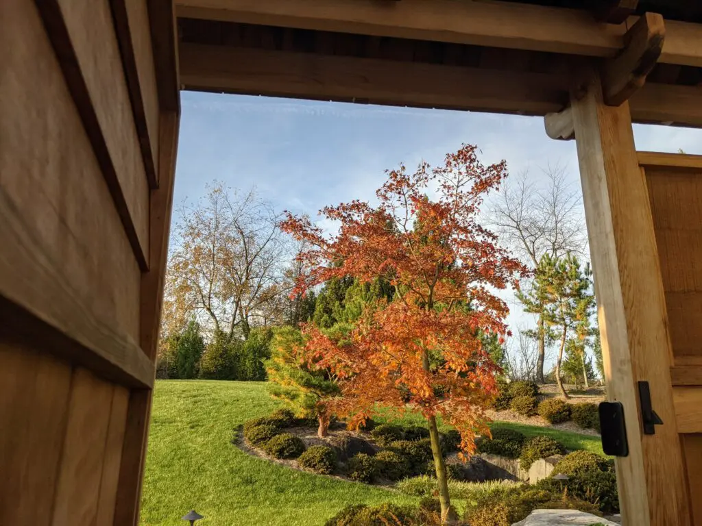 Garden Structures 9 A View Of An Autumn Garden Framed By The Wooden Gate Of A Traditional Structure. A Tree With Vibrant Red And Orange Leaves Stands Out Against The Green Grass And Shrubs. The Sky Is Clear With A Touch Of Blue, And Leafless Trees Are In The Background.
