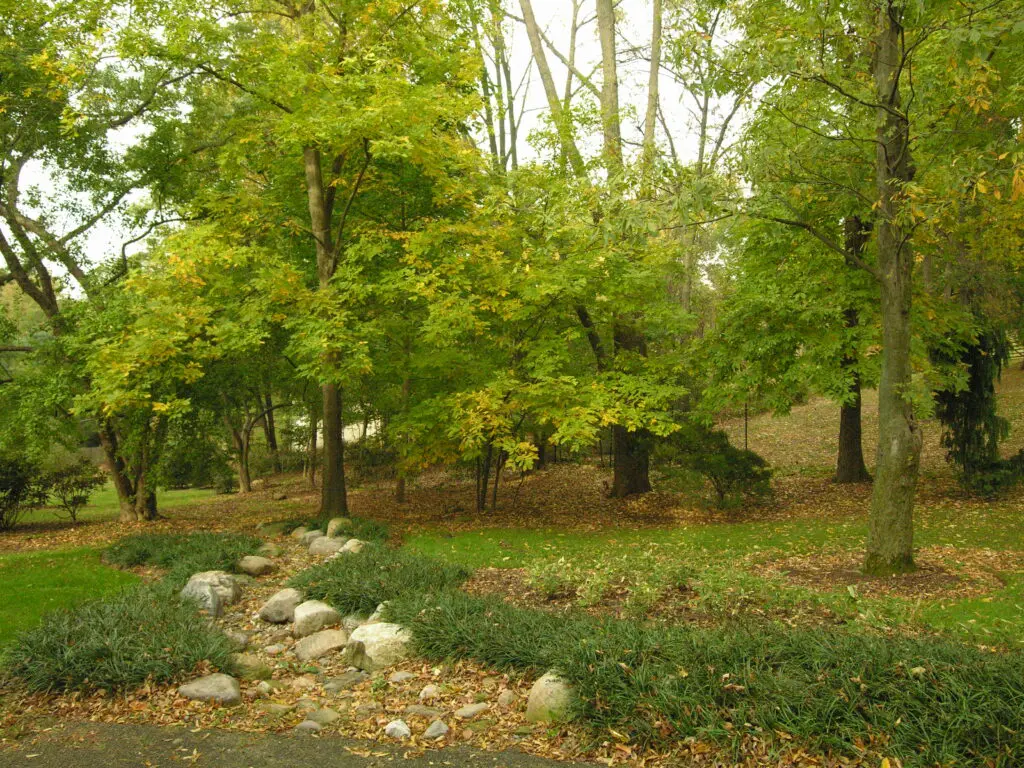 Surface Water Drainage Solutions In Lancaster County, Pa 12 Surface Water Drainage Solutions In Lancaster County, Pa Su14 Dry Stream Bed Controls Runoff From Driveway