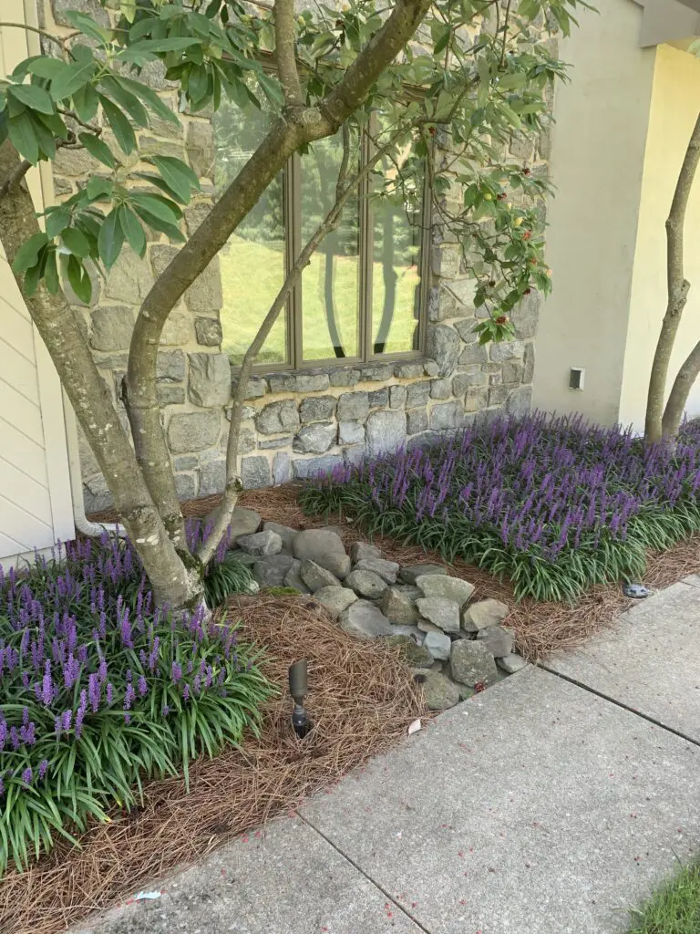 Surface Water Drainage Solutions In Lancaster County, Pa 11 Surface Water Drainage Solutions In Lancaster County, Pa Su20 Simple Stone Downspout Extension Controls Erosion