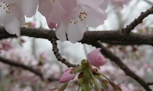 The Wonders of April_featured_image