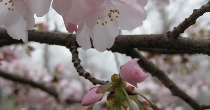 The Wonders Of April 13 The Wonders Of April 431923236 1129529241336121 4670216054322287239 N