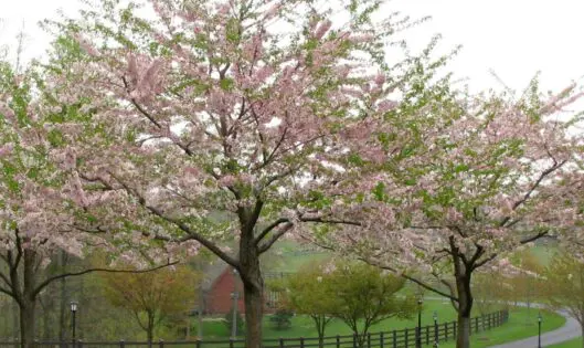 Its Spring!_featured_image