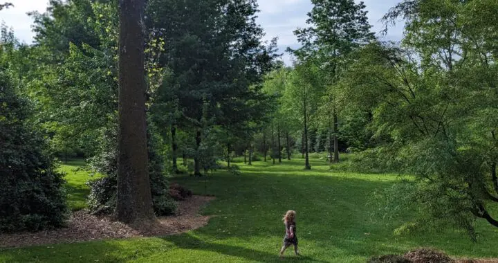 Home In A Garden 5 Home In A Garden 435889008 1148091566146555 7159816549074097503 N