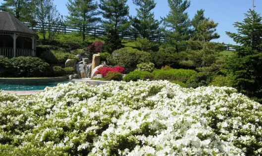 Garden Art_featured_image