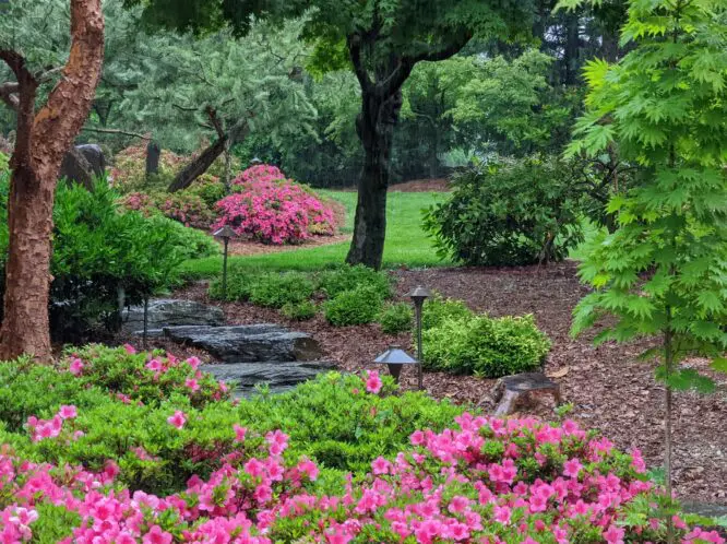 Returns On a Garden Investment: Serenity_featured_image