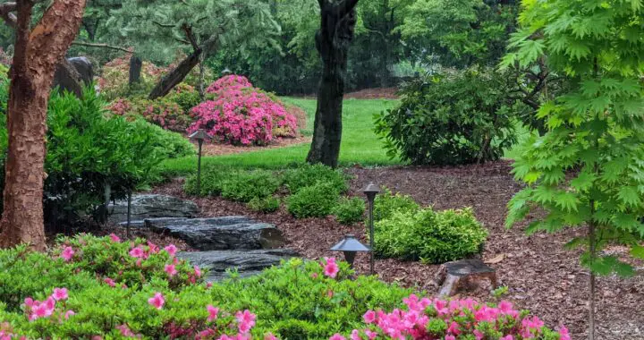 Returns On A Garden Investment: Serenity 434673289 1138552600433785 4101935985678319961 N