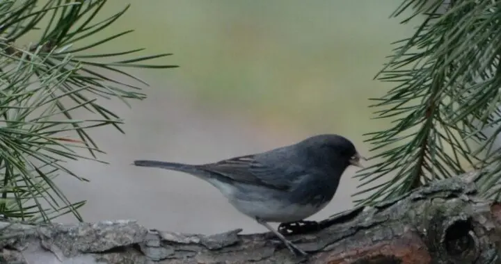 In Living Memory 435163412 1147434969545548 6420119983878391835 N