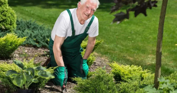 Returns On A Garden Investment: Good Health 436261528 1147473326208379 2627914839680491945 N