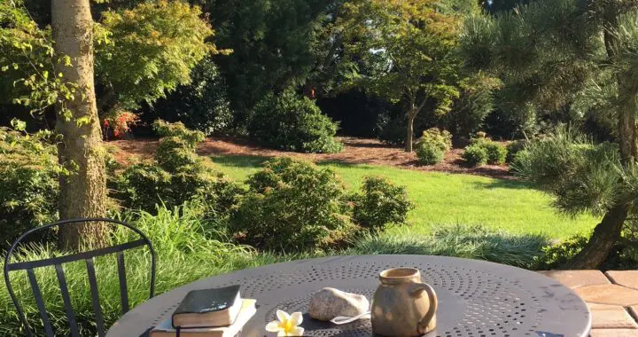 Returns On A Garden Investment: A Daily Vacation 437104440 1151671165788595 5865124868526290264 N