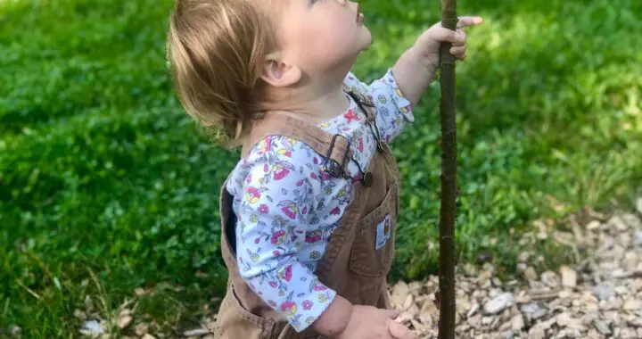 Children In Gardens... 437940603 1147355439553501 2181172181466311486 N