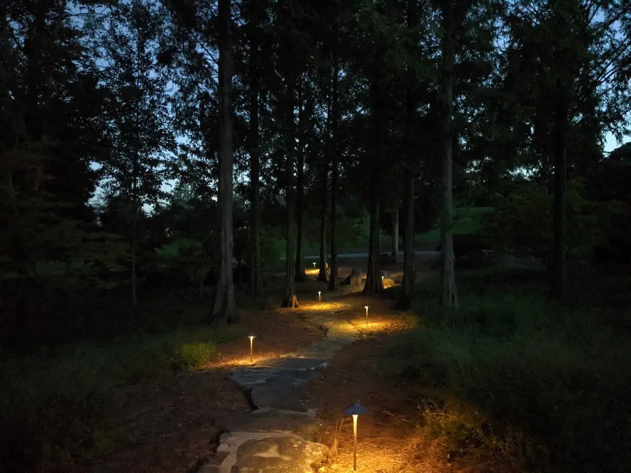 Landscape Lighting Design, Installation And Maintenance (Ian) 10 Cast Bronze Lights Illuminate A Winding Path Through The Garden