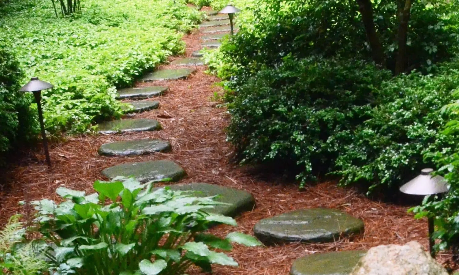 Landscape Lighting Design, Installation And Maintenance (Ian) 8 Lawn Irrigation Supports Lawn On Raised Terrace, Elizabethtown, Pa