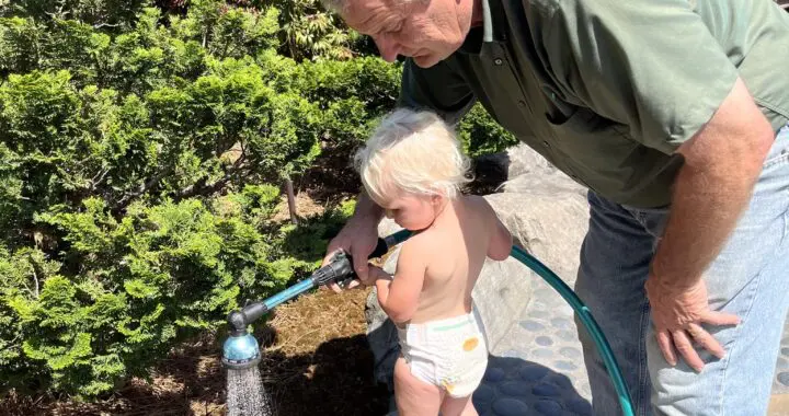 Garden Lessons... 436571320 1151712145784497 199692397630905296 N