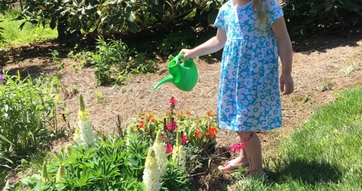 Sowing Seeds Of Beauty... 438729376 1151735672448811 7508772954272036687 N