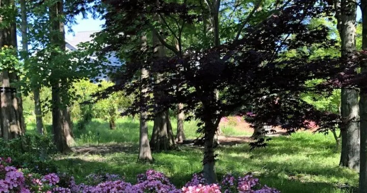 June 440930654 1156953218593723 2210749509892267871 N